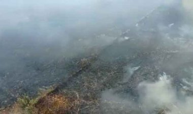 10 बिस्वा गेहूं का फसल जलकर राख, हाईटेंशन तार बना कारण