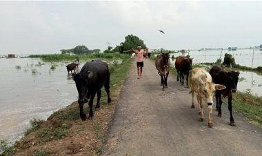 गंगा खतरे से उपर, स्थानीय लोगो की चिंता बढी