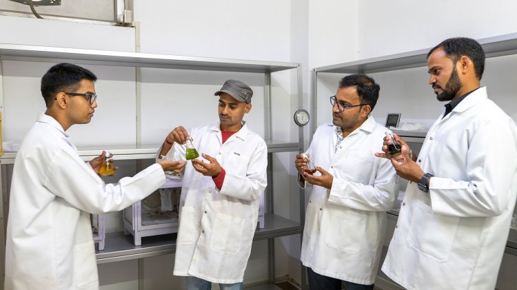 ICRISAT intern wins top awards for developing bio-insecticide