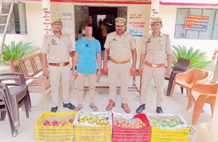 बोलेरो से कर रहा था  फल की दुकान से चोरी, गया जेल