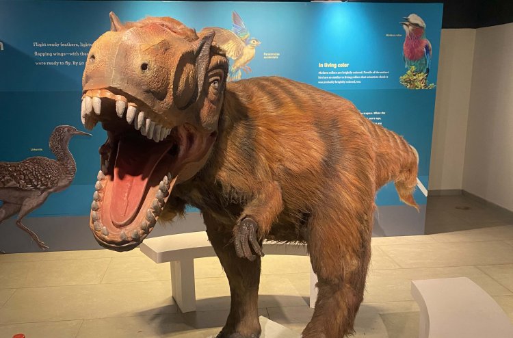 Get Set Learn partners with Museum of Solutions to bring ‘Dinosaurs Among Us’, an American Museum of Natural History exhibit, to India
