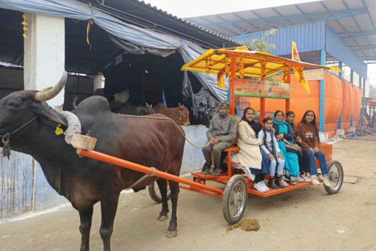 श्रीजी गौसदन का विशेष रथ बना आकर्षण का केंद्र